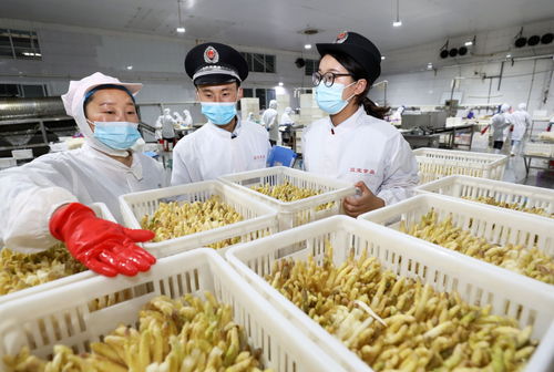 網絡銷售特殊食品安全合規(guī)指南 引領行業(yè)規(guī)范發(fā)展新方向